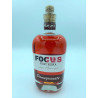 VODKA FOCUS GRENADE- 40% 0.7L - PACK DE 6