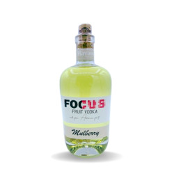 VODKA FOCUS MÛRE - 40% 0.7L - PACK DE 6