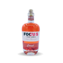 VODKA FOCUS CORNOUILLER - 40% 0.7L - PACK DE 6