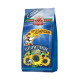 OT MARTINA N°16 - Sélection de graines de tournesol rayées avec sel 150g - pack de 32