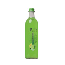 Limonade DVIN Mojito 0.5l bouteille en verre - Pack de 12