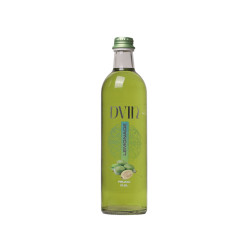 Limonade DVIN Feijoa 0.5l bouteille en verre - Pack de 12