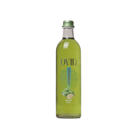 Limonade DVIN Feijoa 0.5l bouteille en verre - Pack de 12