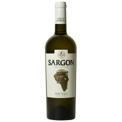 VIN BLANC SEC RKATSITELI BOUTEILLE 0.75L - PACK DE 6