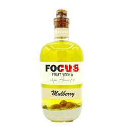 VODKA FOCUS MÛRE - 40% 0.7L - PACK DE 6