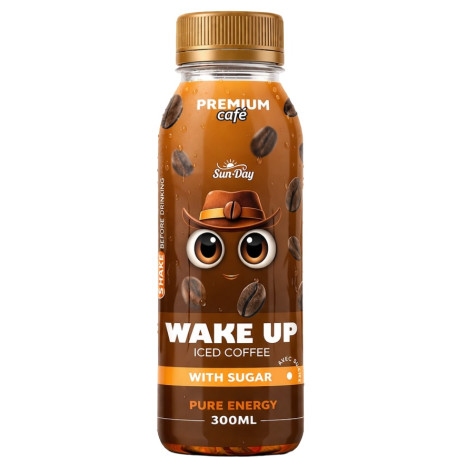 CAFÉ GLACÉ SUN & DAY- WAKE UP - SUCRÉ - 300ML - PACK DE 12